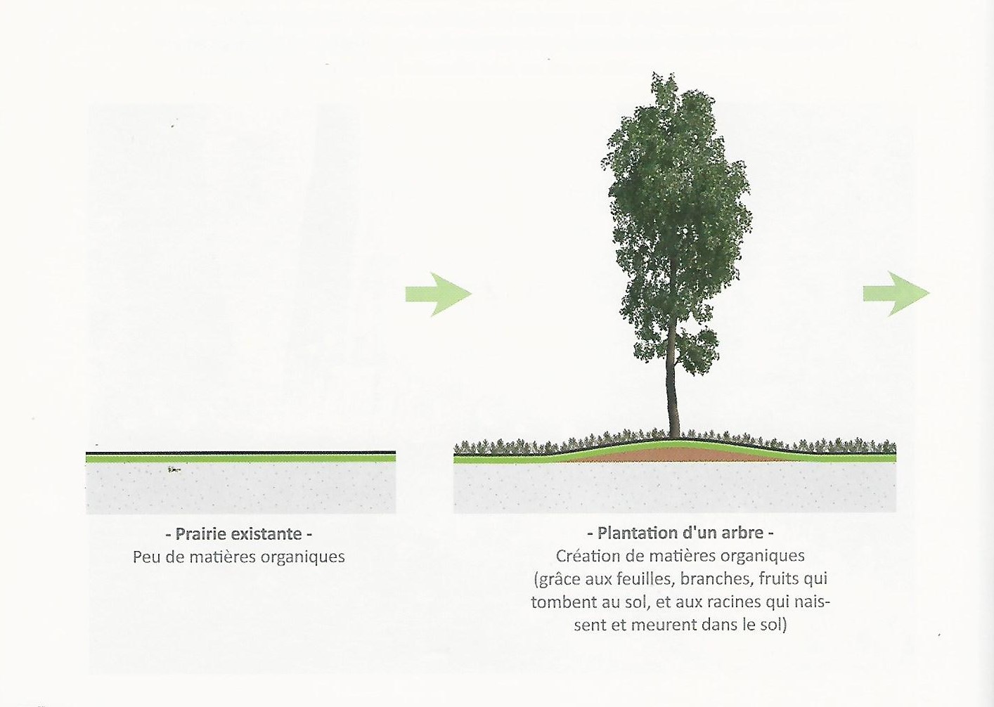 Paysage végétalisé et projet écologique